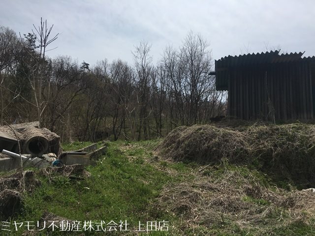 上田市長瀬　土地 その他