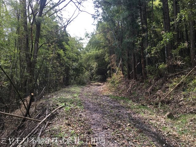 上田市長瀬　土地 その他