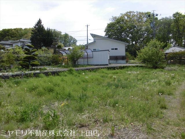 東御市常田　土地 その他