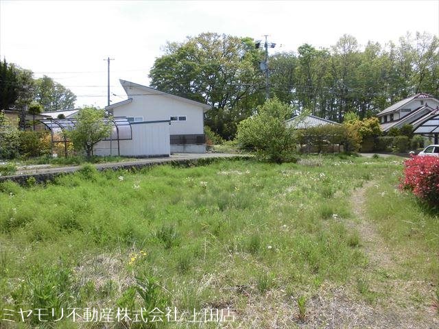 東御市常田　土地 その他