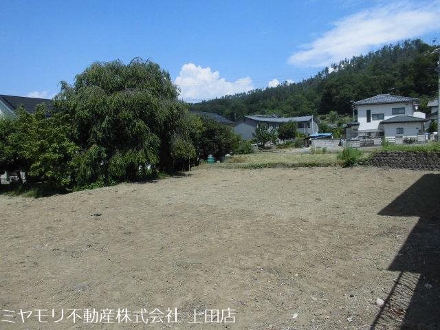 上田市中丸子 土地 現地写真