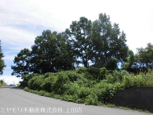 東御市祢津　土地 その他