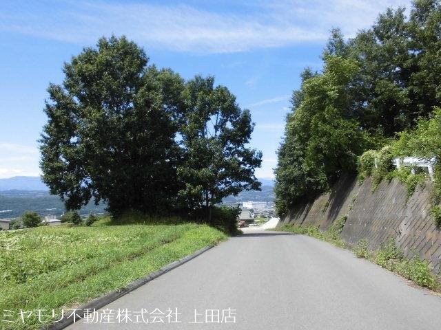 東御市祢津　土地 その他