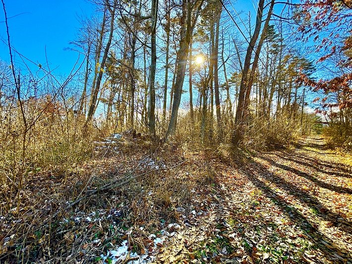 小諸市山浦　土地 現地写真