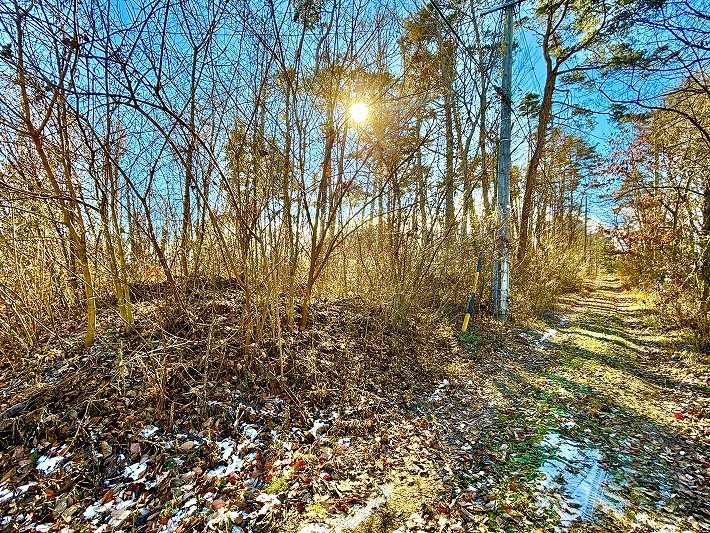 小諸市山浦　土地 現地写真