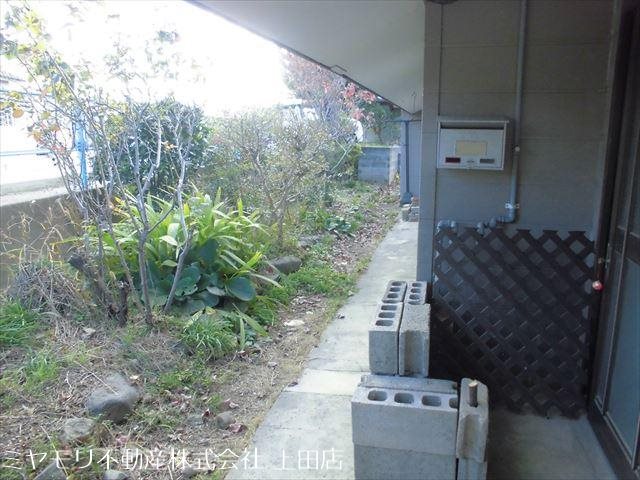 上田市小泉　中古戸建 現地写真（庭）