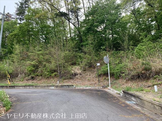 上田市手塚　土地 現地写真（前面道路含む現地写真）