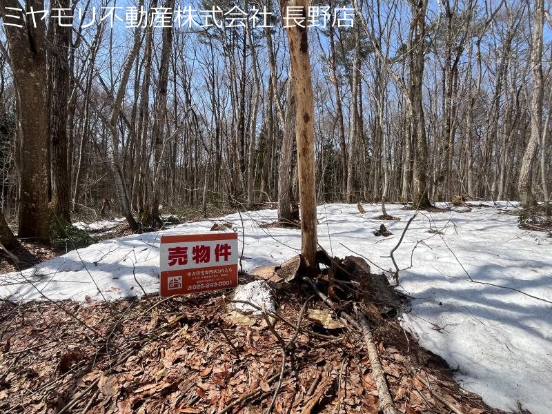 信濃町大字富濃　土地 現地写真