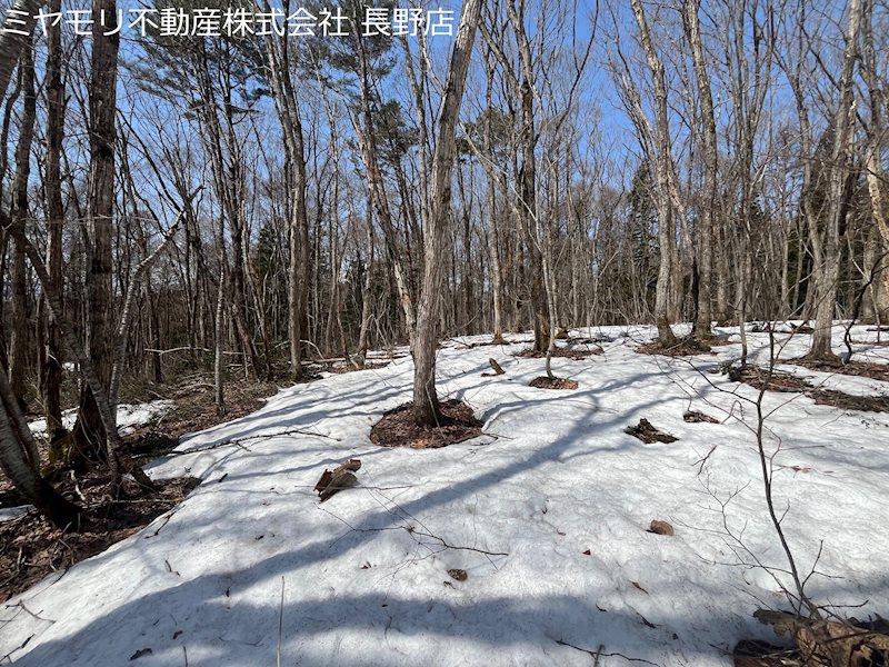 信濃町大字富濃　土地 現地写真