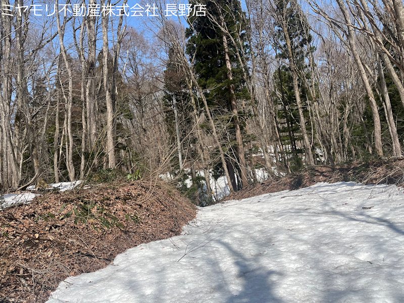 信濃町大字富濃　土地 その他