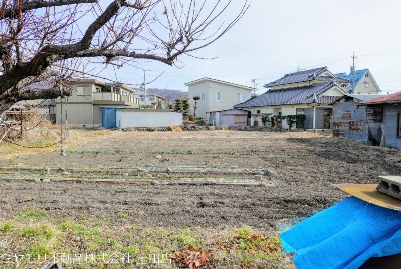 上田市林之郷　土地 その他