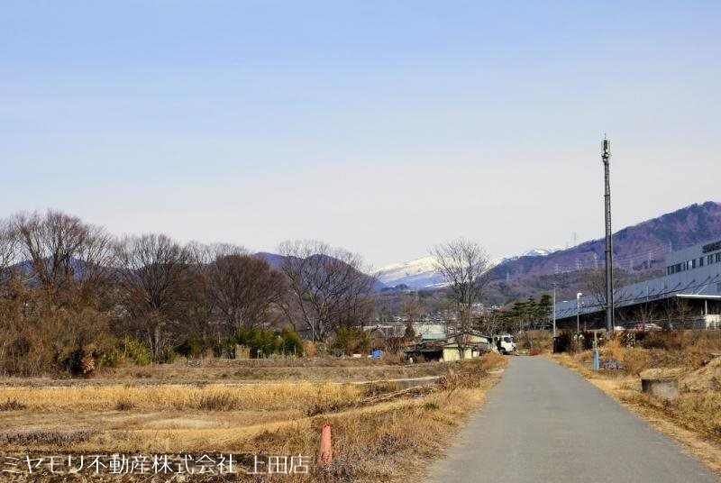 上田市林之郷　土地 その他