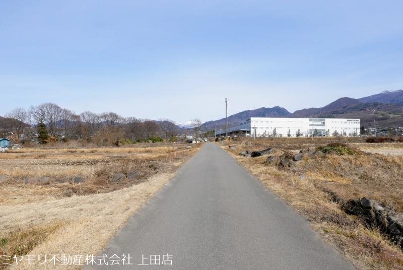 上田市林之郷　土地 その他