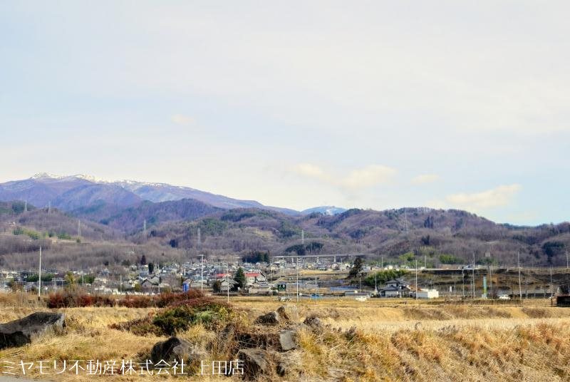 上田市林之郷　土地 その他