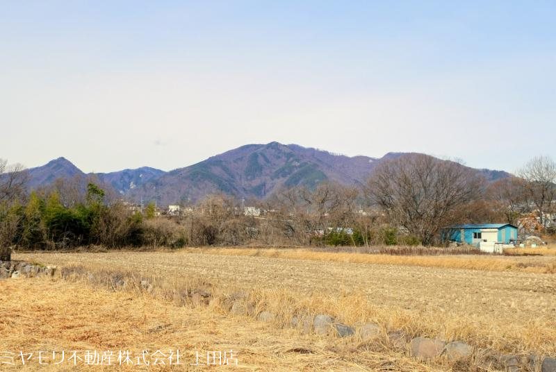 上田市林之郷　土地 その他