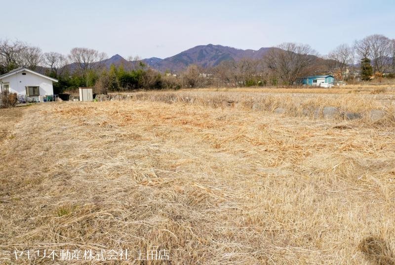 上田市林之郷　土地 その他