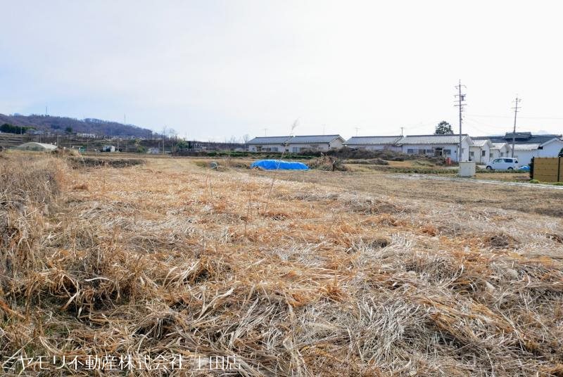 上田市林之郷　土地 その他