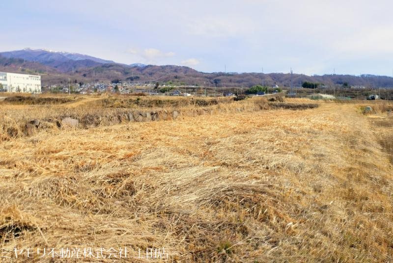上田市林之郷　土地 その他