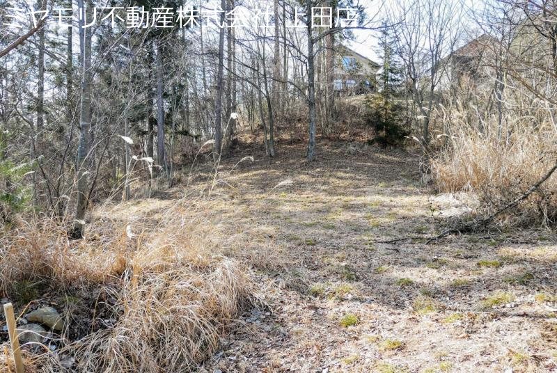 上田市腰越　土地 その他