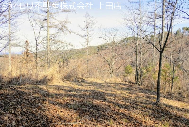 上田市腰越　土地 その他