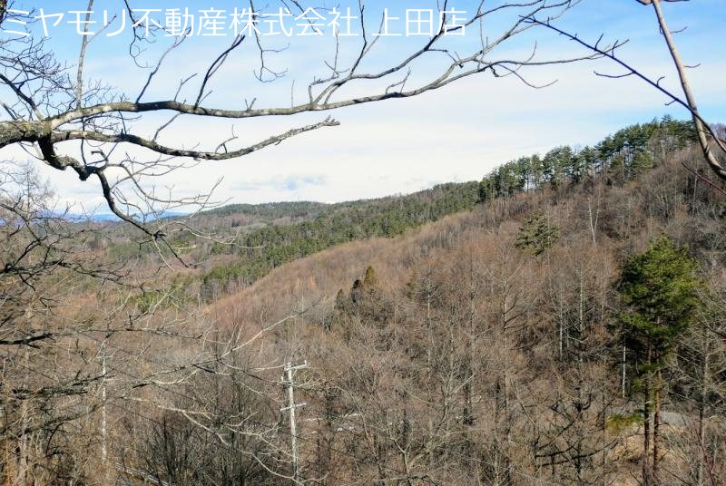 上田市腰越　土地 その他