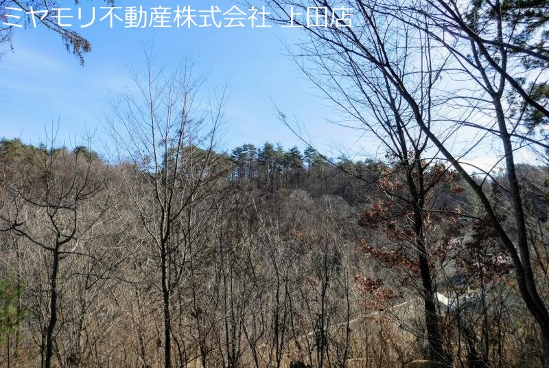 上田市腰越　土地 その他