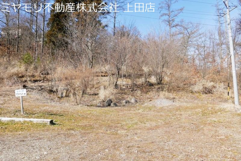 上田市腰越　土地 その他