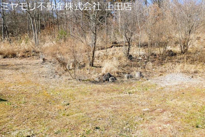 上田市腰越　土地 その他