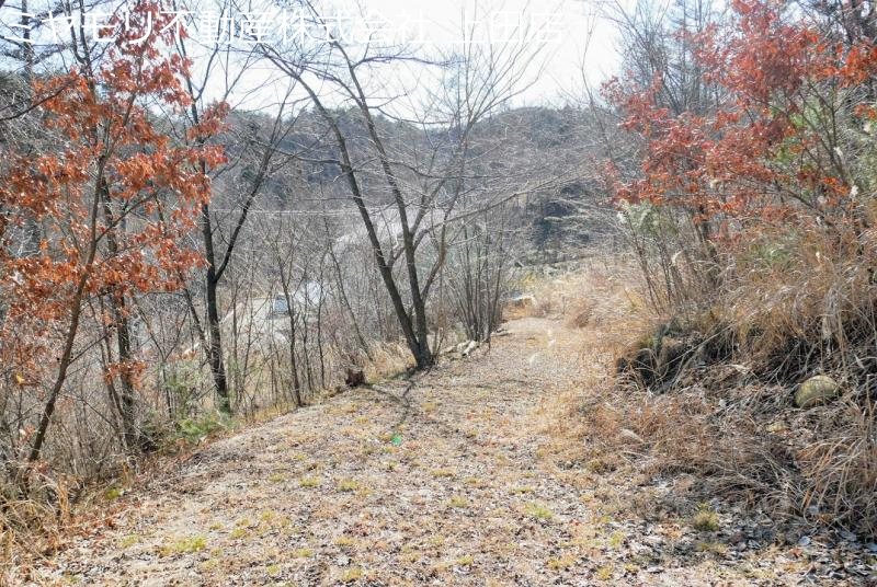 上田市腰越　土地 その他