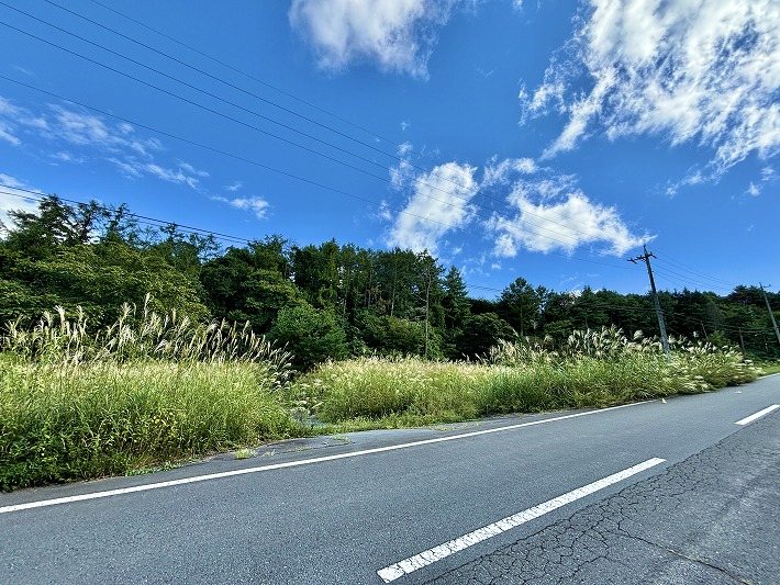 佐久市望月 土地 現地写真