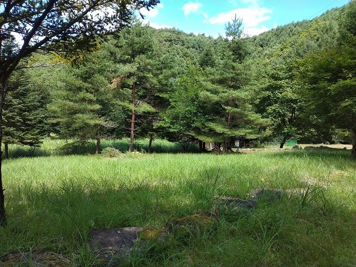 佐久市内山　土地 現地写真
