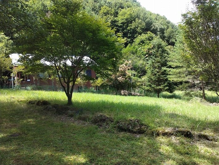 佐久市内山　土地 現地写真