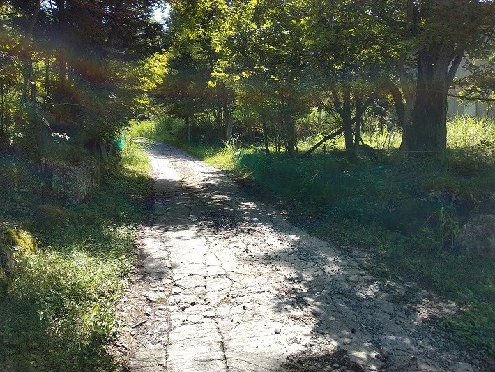 佐久市内山　土地 現地写真（前面道路含む現地写真）