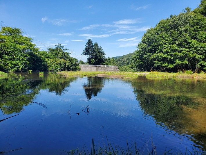 佐久市内山　土地 その他
