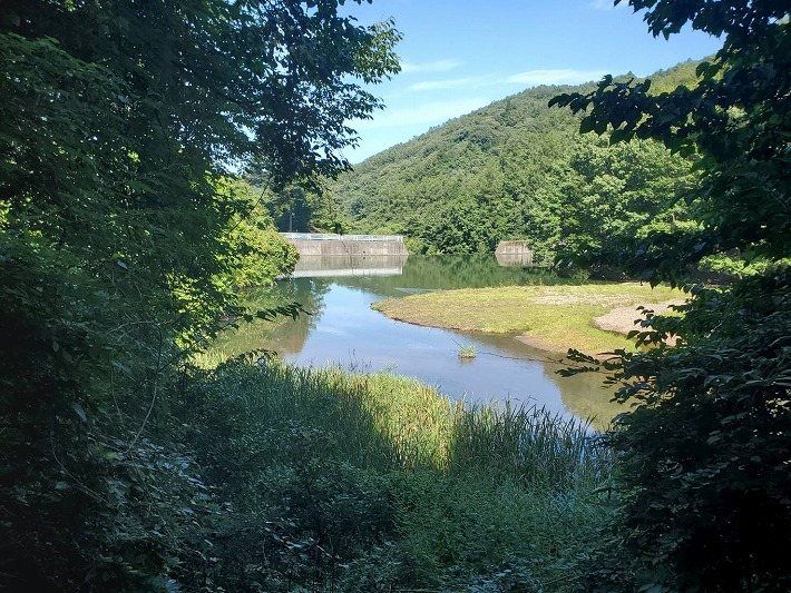 佐久市内山　土地 その他