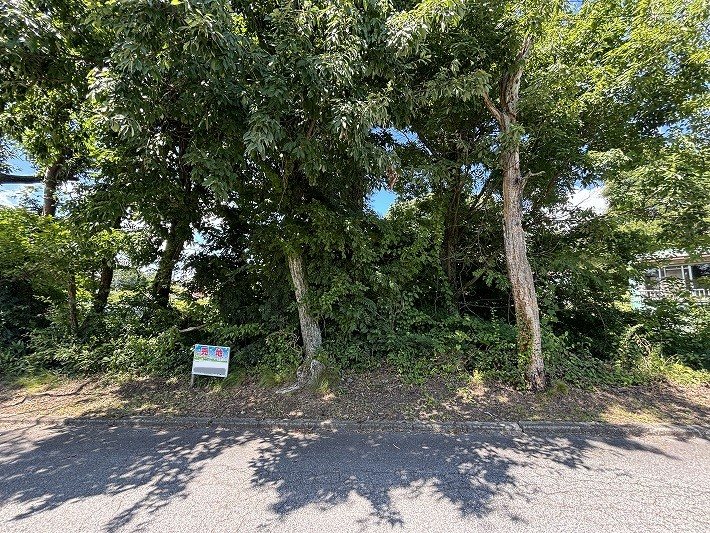御代田町草越向原 土地 現地写真