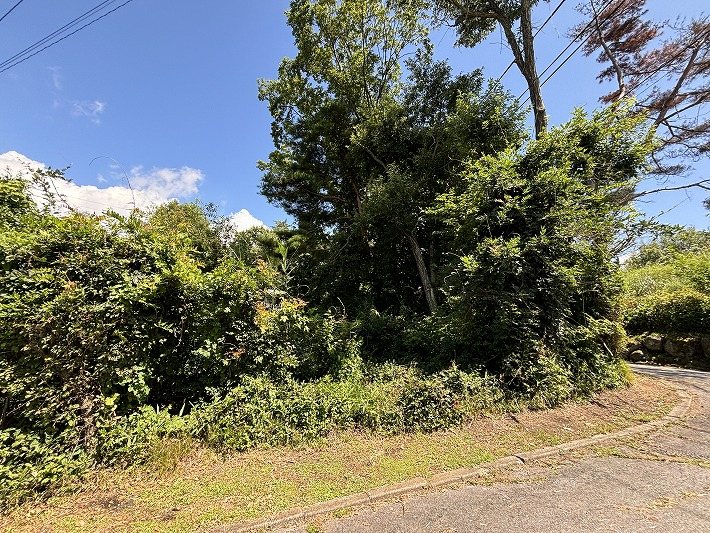 御代田町草越向原 土地 現地写真