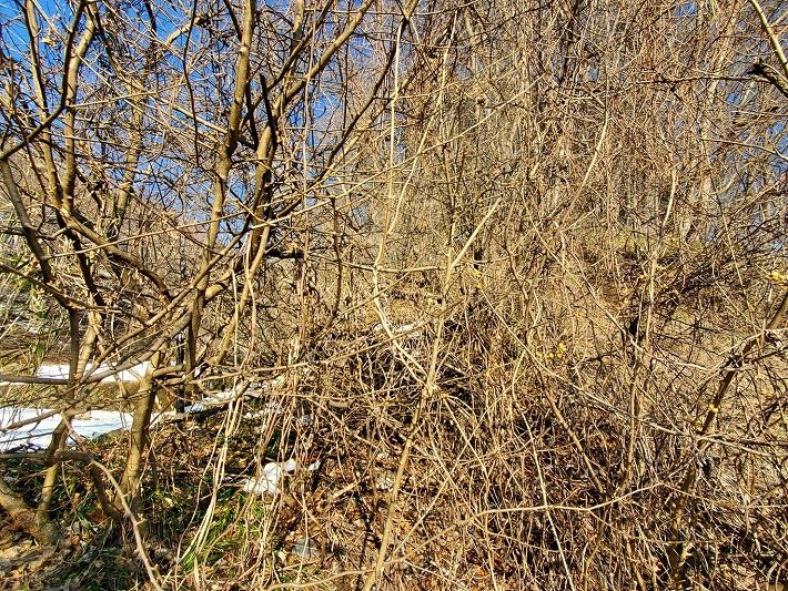 軽井沢町発地　土地 その他