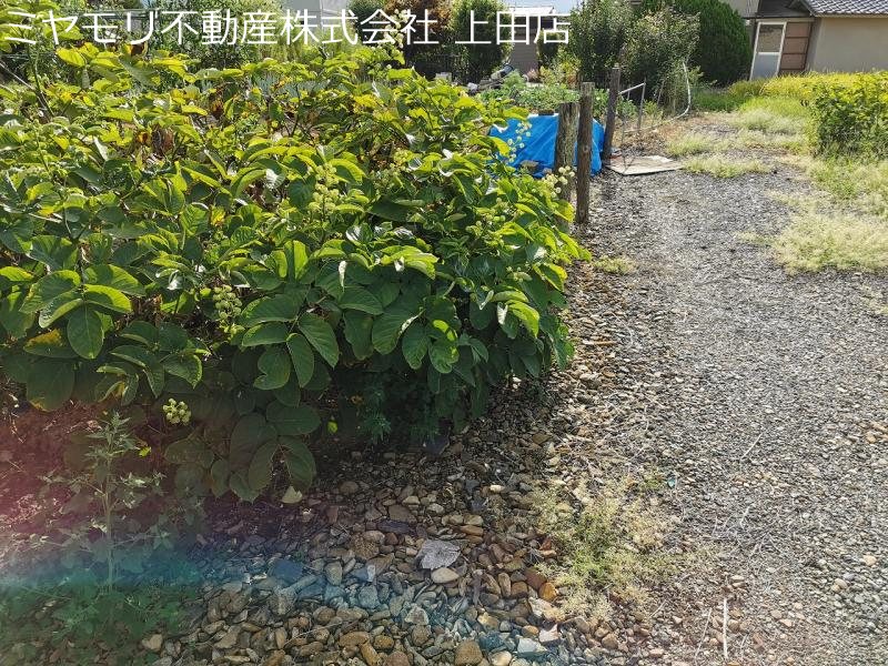 上田市岡　土地 その他