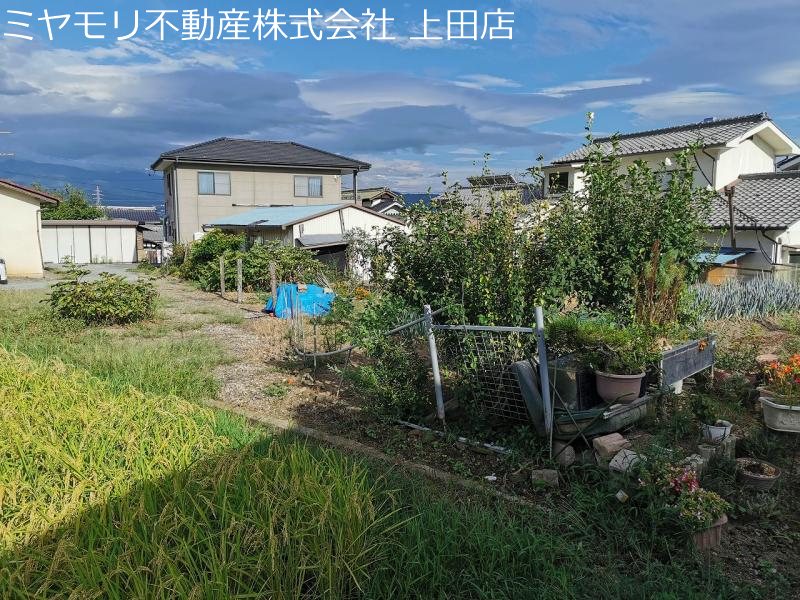 上田市岡　土地 その他