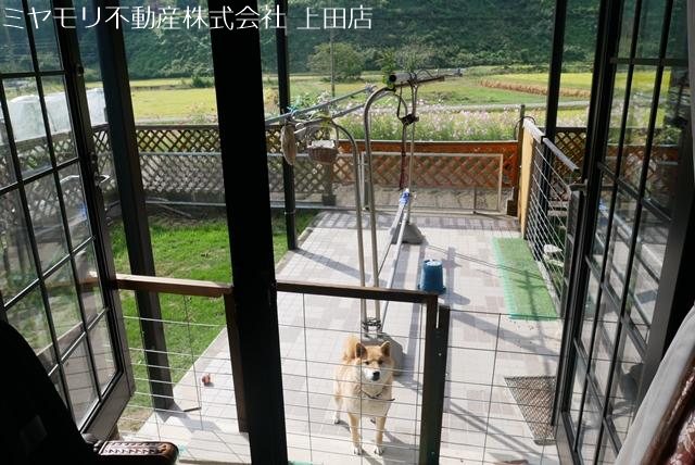 上田市東内　中古戸建 その他