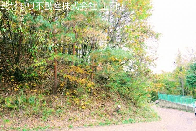 上田市腰越 土地 現地写真