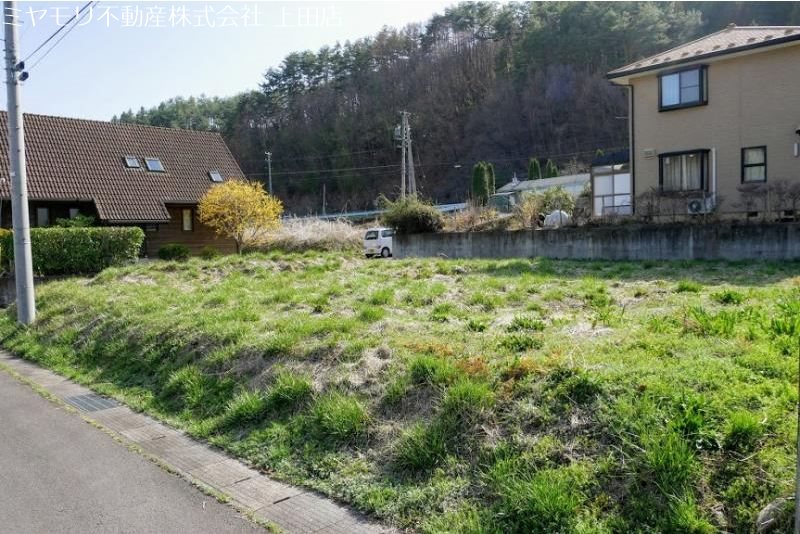青木村田沢　土地 現地写真
