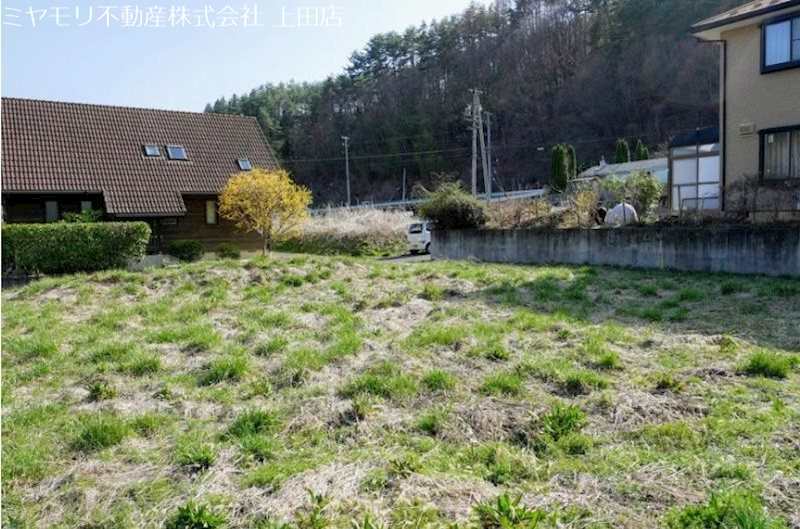青木村田沢　土地 現地写真