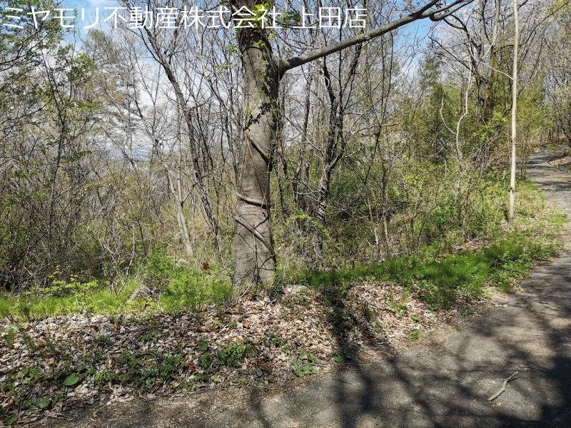 東御市八重原 土地 現地写真