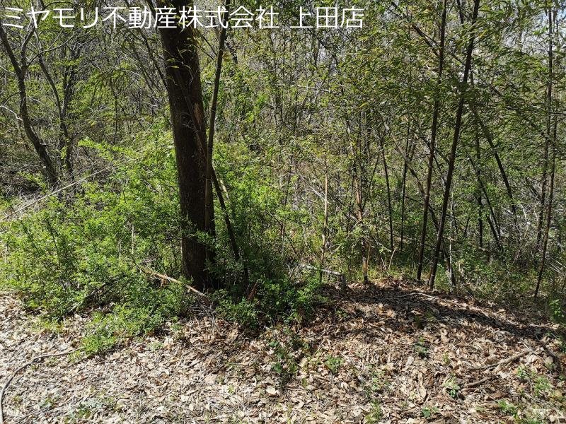 東御市八重原　土地 その他