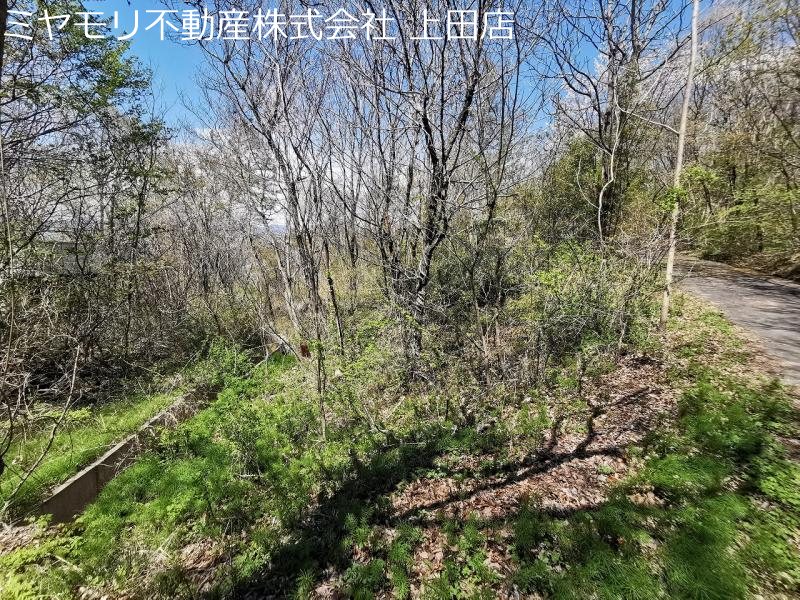 東御市八重原　土地 その他