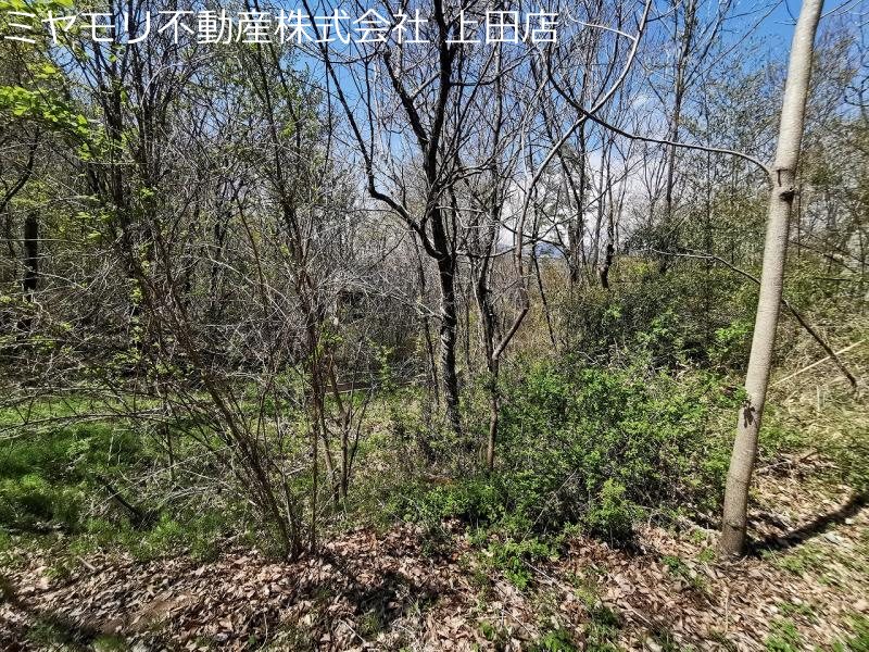 東御市八重原　土地 その他