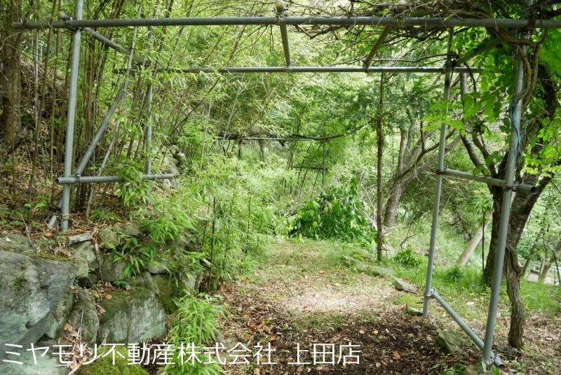 上田市東内　中古戸建 その他