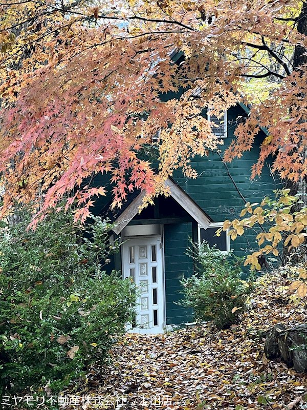 小県郡青木村沓掛　中古戸建 現地写真